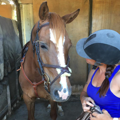 Art de Bouger à cheval