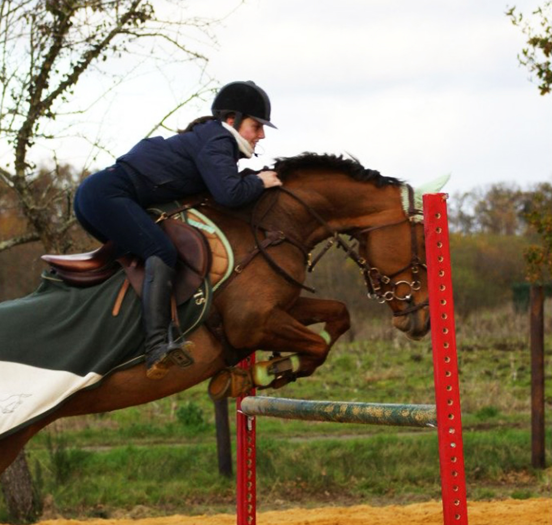 Art de Bouger cheval